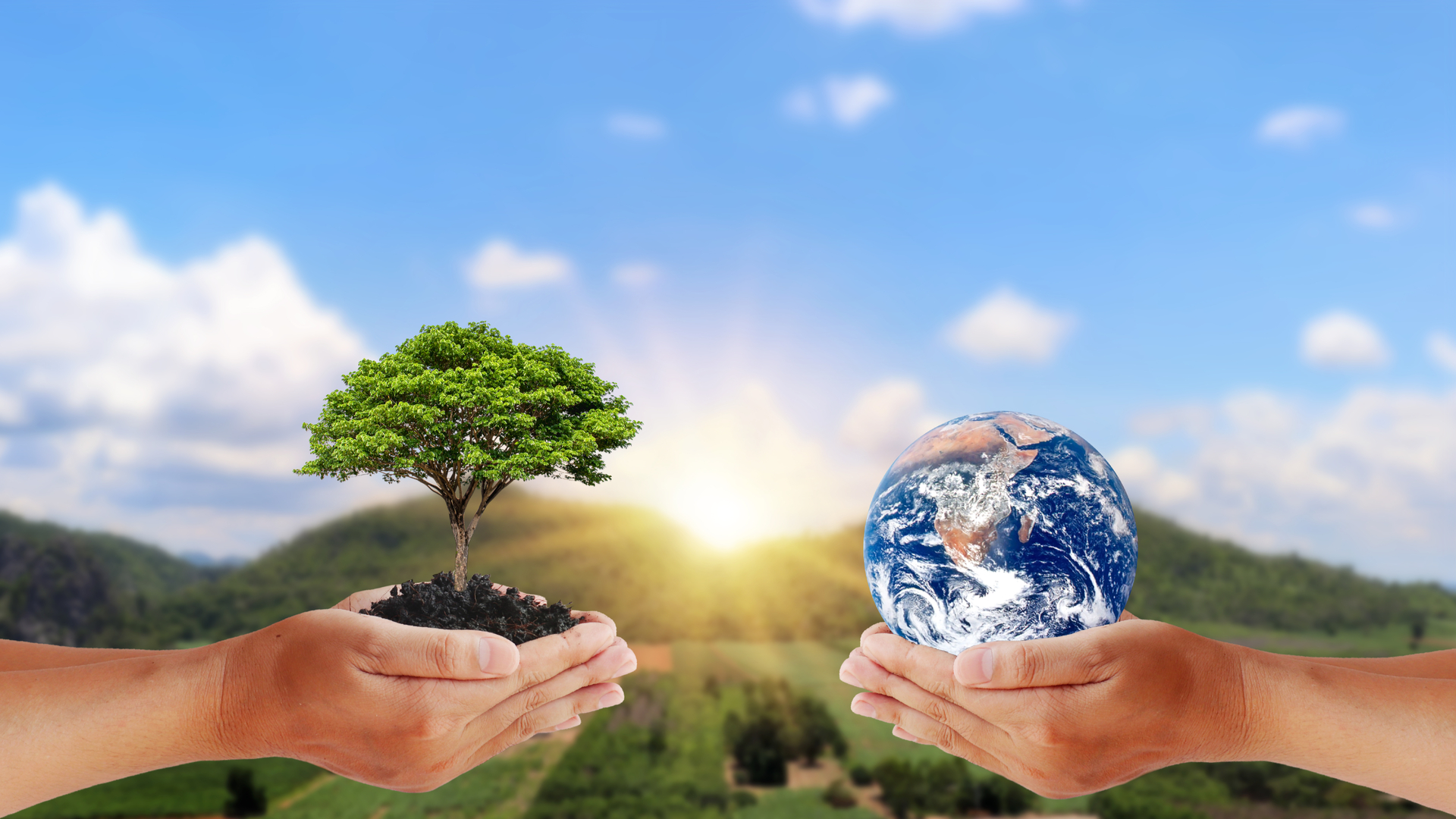 9 things to switch for a better and healthier planet from this world earth day