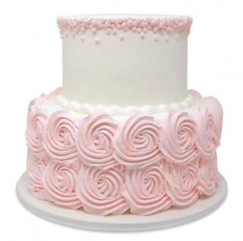Elegant 2 Tier Theme Cake
