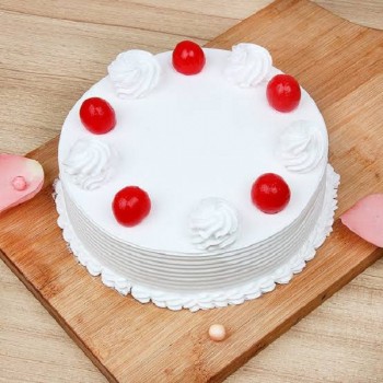 Vanilla Cake Delight