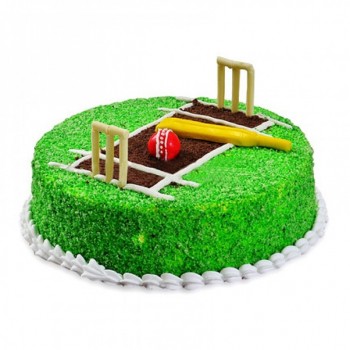 Cricket Pitch Cake