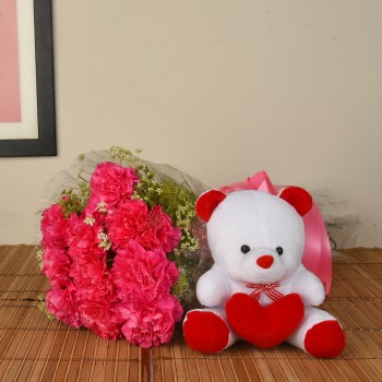 Pink Carnation n Teddy