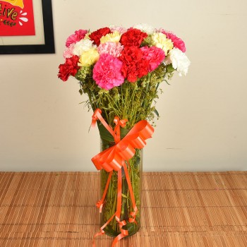15 Mix Carnations in Vase