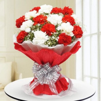 Red n White Carnations